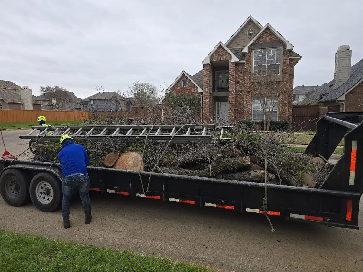 Expert Tree Fertilization with proper safety equipment in New Bedford